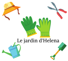 cropped-cropped-jardindhelena_logo.png