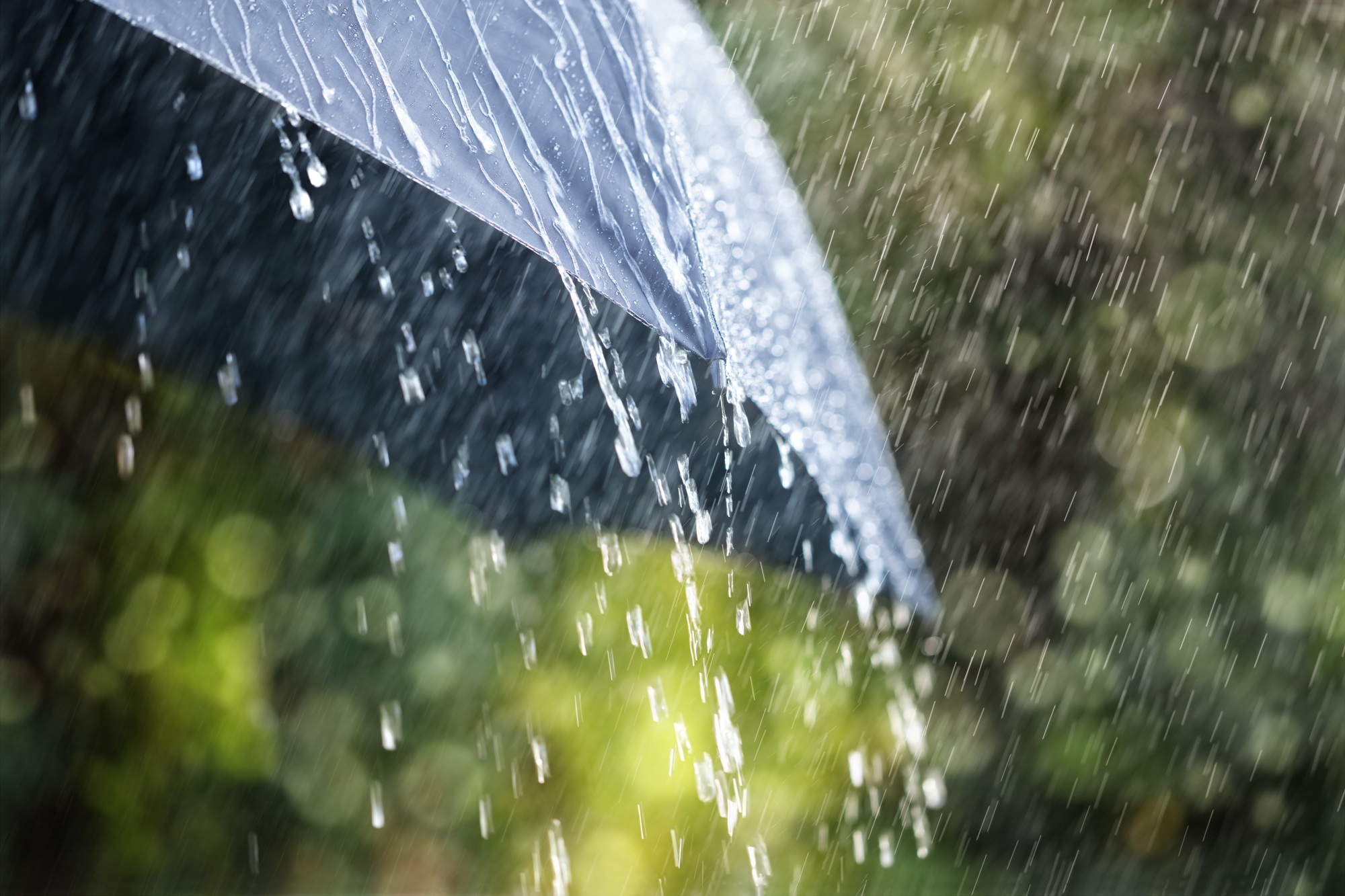 changements climatiques